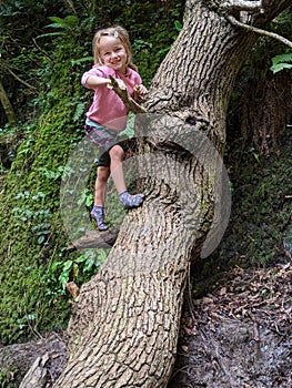 Little girl in pink climbs a tree by the riverbank