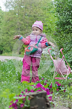 Little girl with pink toy stroller making helpless shrug gesture near purple primula flowerbed