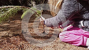 Little Girl Planting a Tree