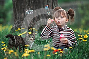 Little girl playing with a cat in the green grass.