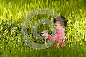 Little girl playing in a dandelion field