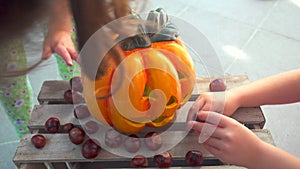 Little girl playing feeding chestnuts to halloween pumpkin