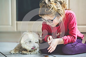 Little girl playing with her pet dog Maltese at home. Happy child and cute puppy. Love, friendship, family animal.