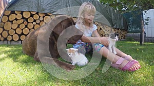 LIttle girl playing with kitten in the garden, in the grass
