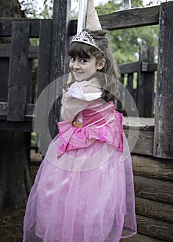 Little girl playing in the playground