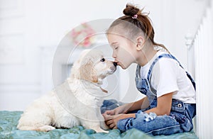 Little girl playing with Puppies Retriever