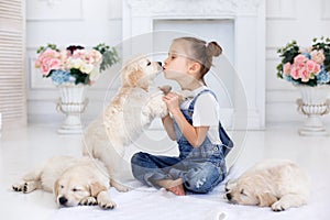 Little girl playing with Puppies Retriever