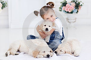 Little girl playing with Puppies Retriever