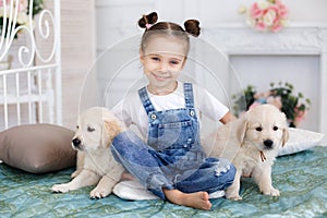 Little girl playing with Puppies Retriever