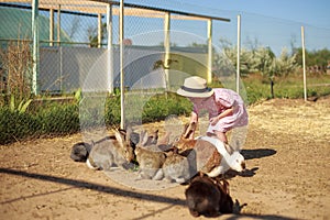 Little girl playing with rabbits on a sunny summer or spring day at sunset.