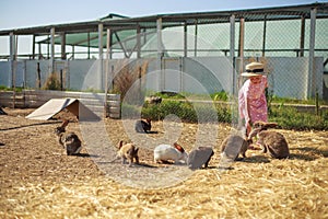 Little girl playing with rabbits on a sunny summer or spring day at sunset.