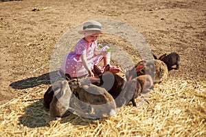 Little girl playing with rabbits on a sunny summer or spring day at sunset.