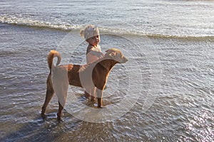 A little girl playing with a stray dog on the beach sand in the background lighting, abandoned animals in India,