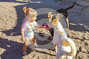 A little girl playing with stray dogs, abandoned animals in India, childlike spontaneity.