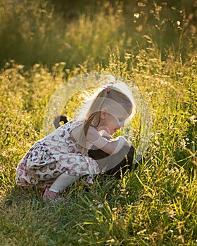 Little girl is playing and stroking dog