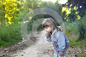 Little girl playing in sunny blooming forest. Toddler child picking flowers. Blowing dandelion. Summer fun for family with childre