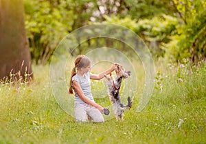 Little girl playing with terrier dog