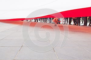 Little Girl Playing Under an Immense Flag