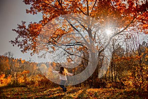 Little girl playing under red oak