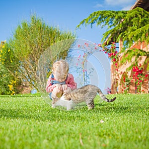 Little girl plays with a cat on a green grass