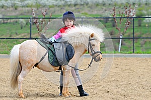 Little girl and pony photo