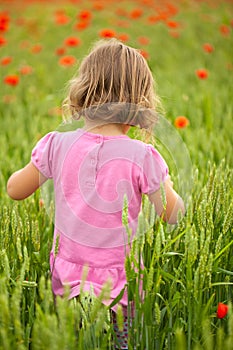 Little girl in poppy field