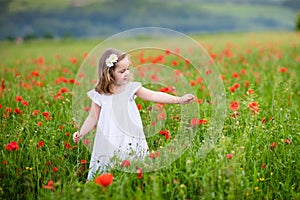 Little girl in poppy flower field