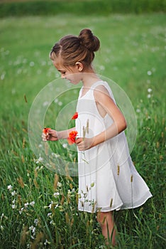 Little girl with poppy in summer field