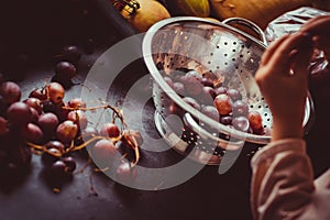 The little girl prepares dark grapes to eat
