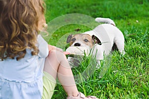 Little girl pulls toy playing tug-of-war game with family pet dog