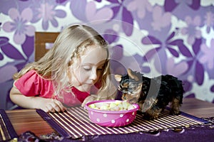 Little girl and puppy