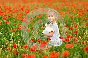Little girl with puppy in field of poppies