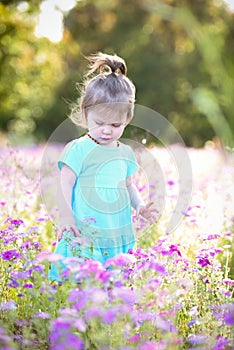 Little girl in a purple flower field in the summer