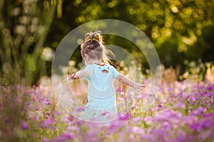 Little girl in a purple flower field in the summer