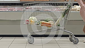 Little girl pushes a large cart full of groceries past a meat display. Mom is next.