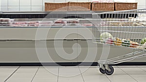 Little girl is pushing a big cart full of groceries past the showcases of meat. Helper.