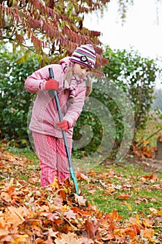 Little girl rake autumn leaves in garden