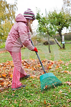 Little girl rake autumn leaves in garden