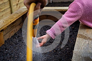Little girl reaching hand into water spray of garden hose watering freshly planted soil in wooden vegetable planter.