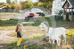 Little girl with red hair playing with white goat