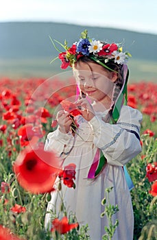 Little girl on red poppy field