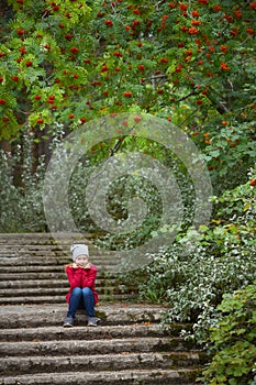 Little girl in red sweater is on stone staircase under rowan