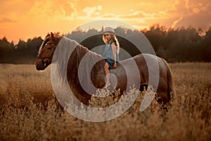 Little girl with red tinker horse in oats evening field