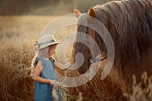 Little girl with red tinker horse in oats evening field