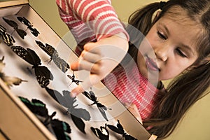 Little Girl Researching Entomology Collection of Tropical Butterflies