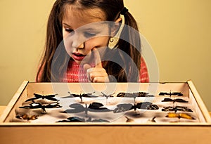 Little Girl Researching Entomology Collection of Tropical Butterflies