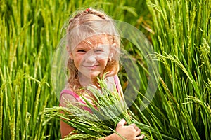 Little girl on the rice paddies photo