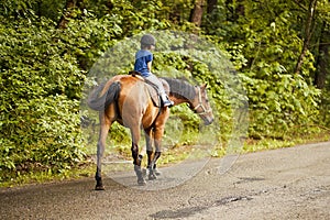 Little girl rides a beautiful horse on the road in the forest