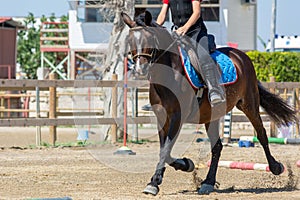 Little girl that rides a brown pony during Pony Game competition at the Equestrian School