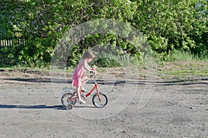 Little girl riding on bicycle outdoors in summer. Children activity